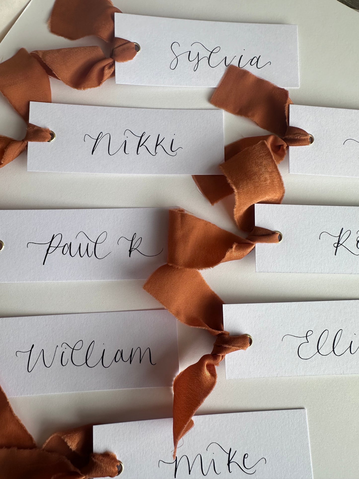 OCHRE Chiffon Ribbon Calligraphy Place Name Card | White Calligraphy Wedding Place Name Card | Gold or Silver Eyelet