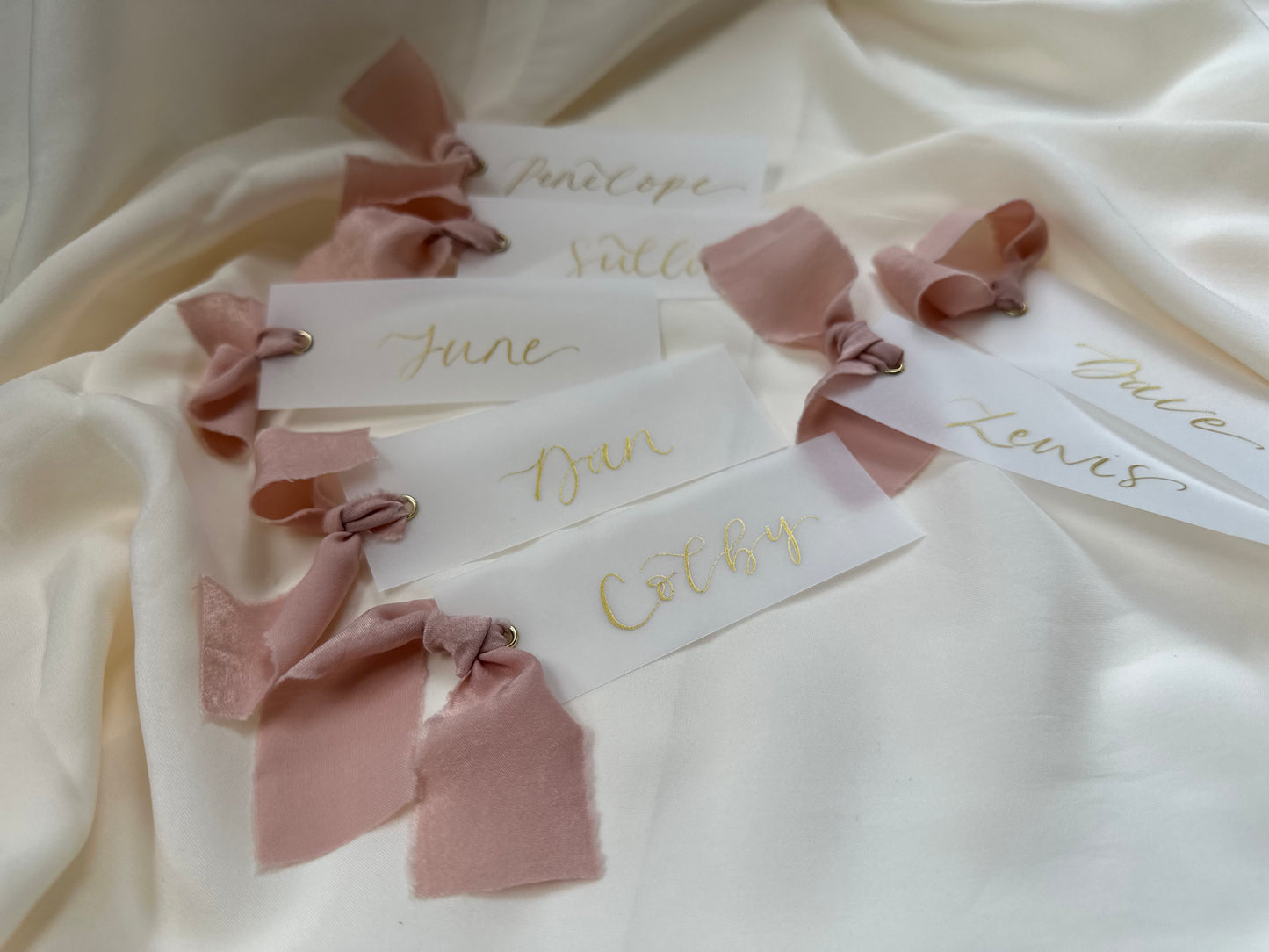 VELLUM Place Card Blush chiffon Ribbon | Calligraphy Wedding Place Name Card | Gold or Silver Eyelet