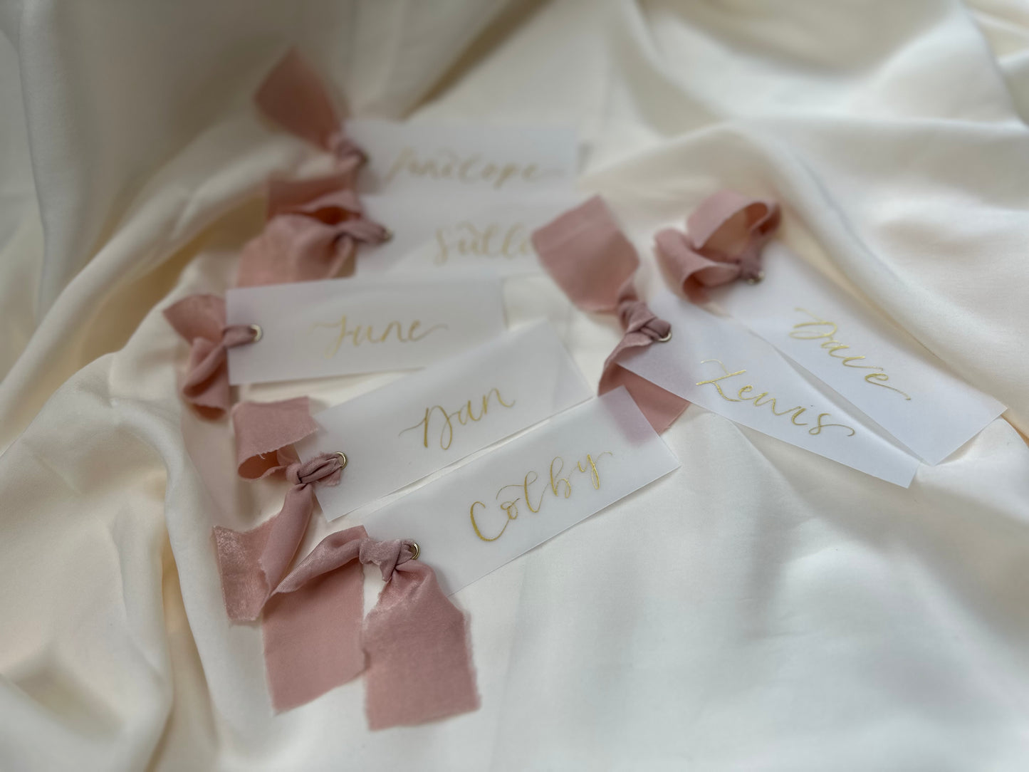 VELLUM Place Card Blush chiffon Ribbon | Calligraphy Wedding Place Name Card | Gold or Silver Eyelet