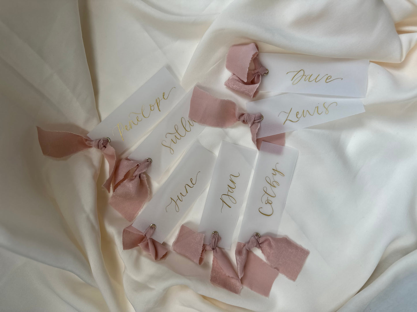 VELLUM Place Card Blush chiffon Ribbon | Calligraphy Wedding Place Name Card | Gold or Silver Eyelet