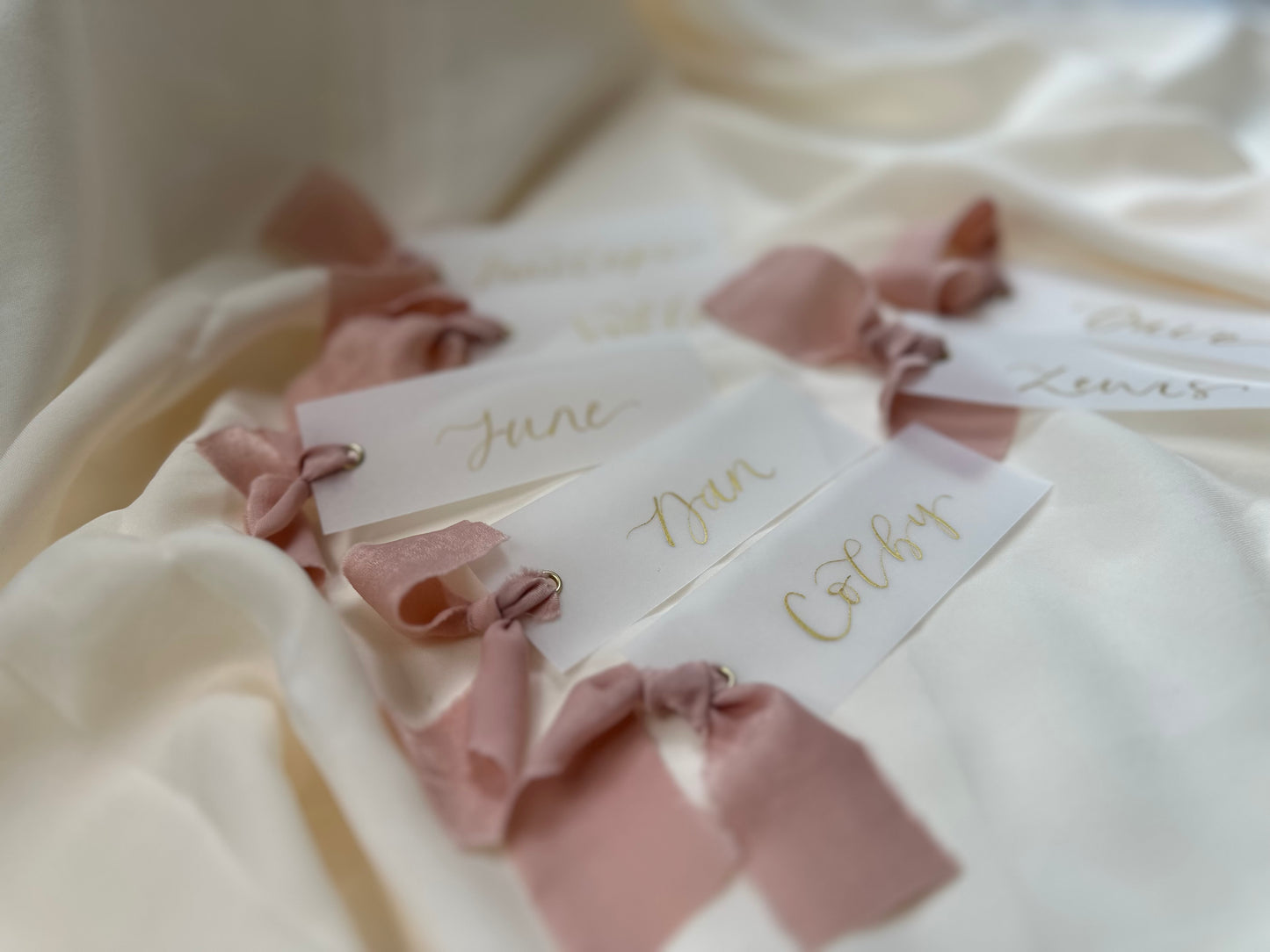VELLUM Place Card Blush chiffon Ribbon | Calligraphy Wedding Place Name Card | Gold or Silver Eyelet
