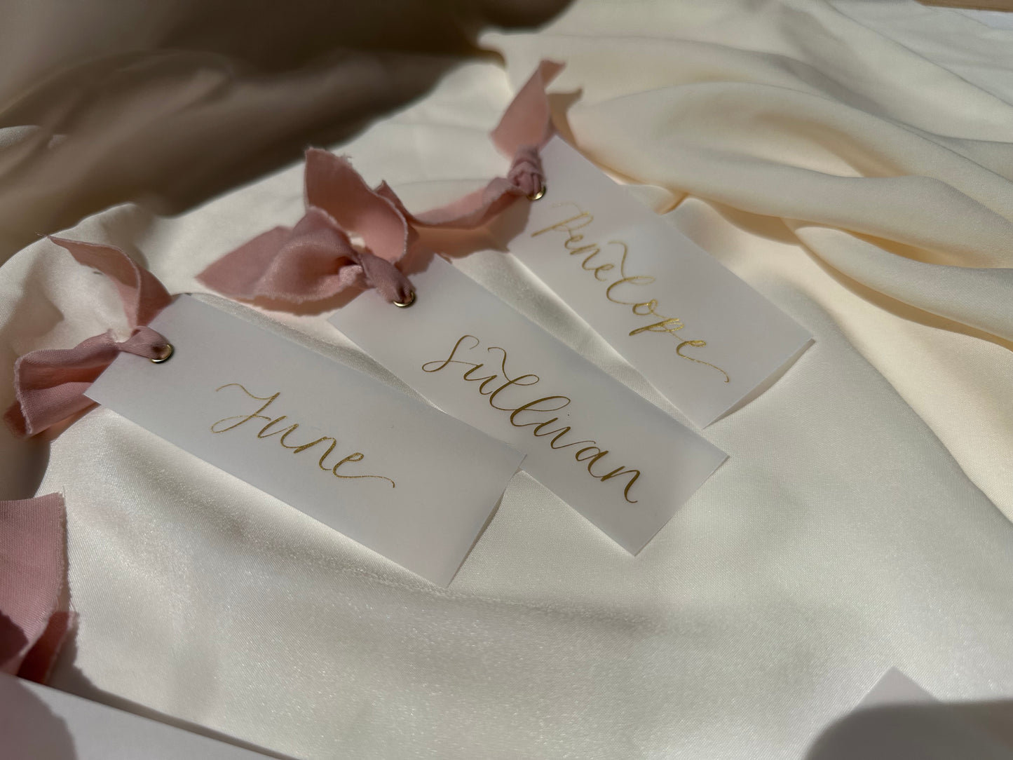 VELLUM Place Card Blush chiffon Ribbon | Calligraphy Wedding Place Name Card | Gold or Silver Eyelet