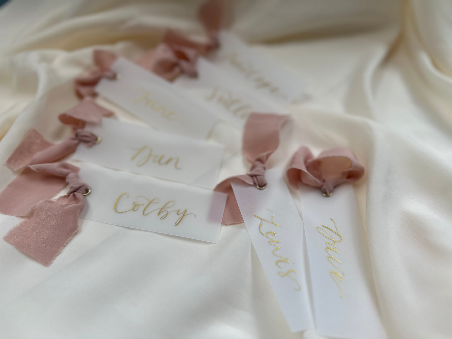 VELLUM Opaque Ribbon Calligraphy Place Name Card | White Calligraphy Wedding Place Name Card | Gold or Silver Eyelet Place Card