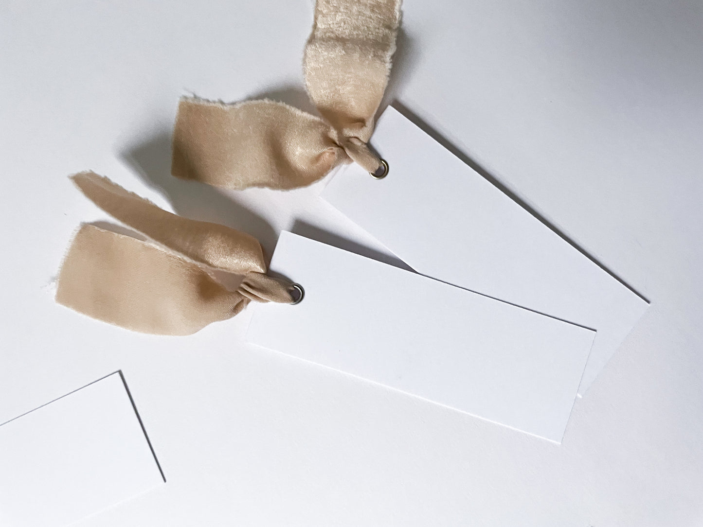 25 BLANK Nude Ribbon Place Card with Eyelet | DIY Wedding Dinner Party Place Card, Write Your Own Place Setting