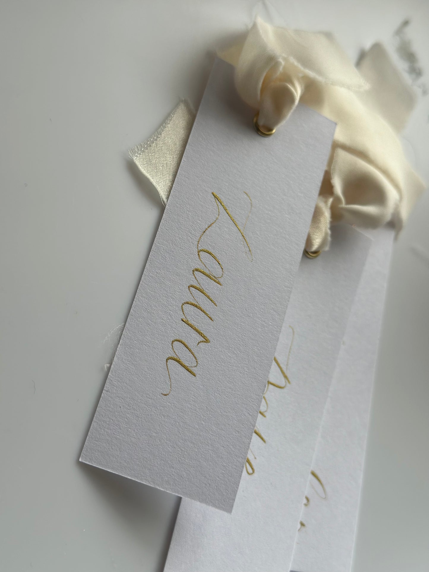 CHAMPAGNE Chiffon Gold Calligraphy Place Name Card | White Calligraphy Wedding Place Name Card | Gold or Silver Eyelet