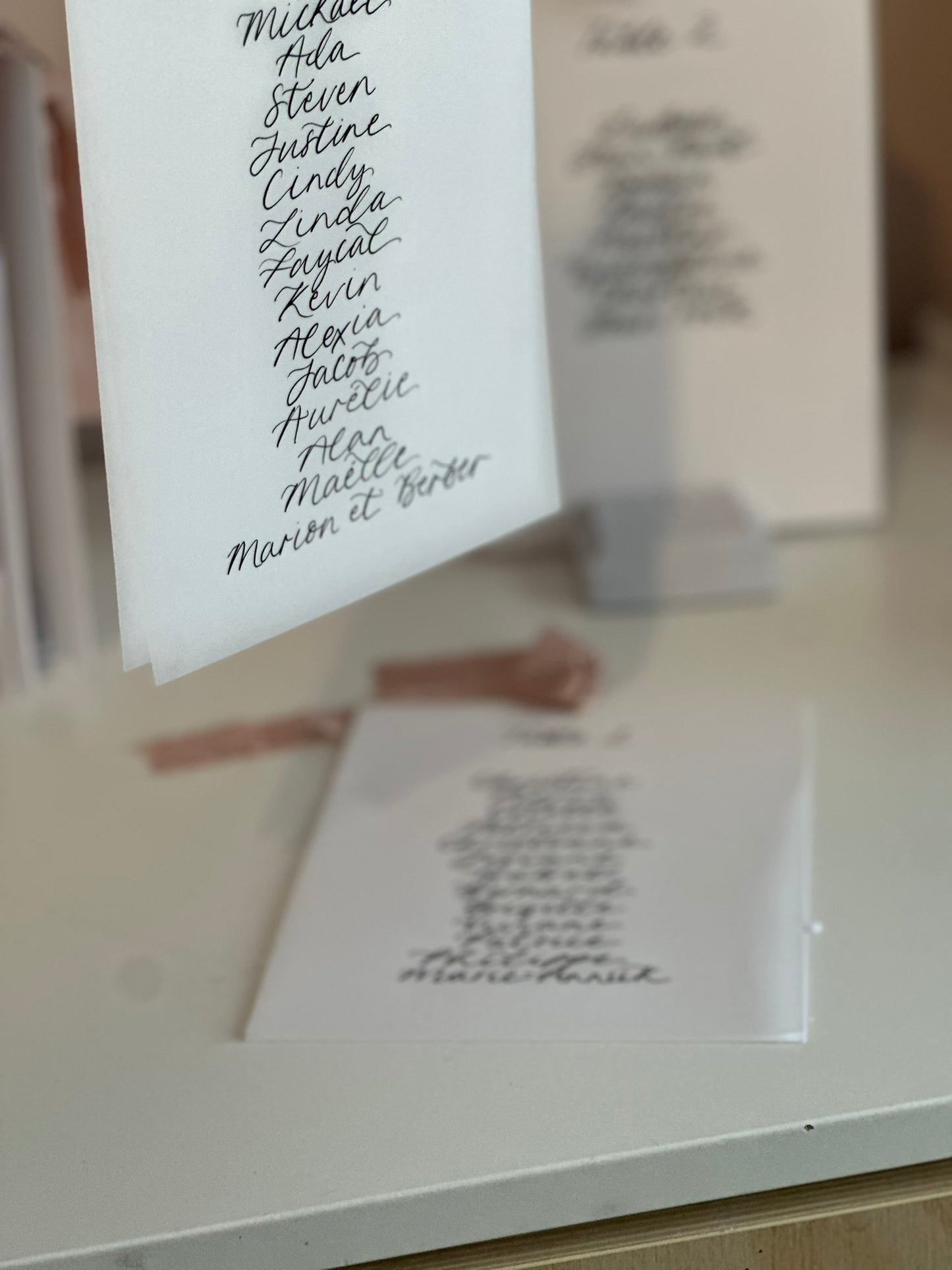 BLUSH Chiffon Ribbon Vellum Calligraphy Table Plan Card | A5 Calligraphy Wedding Table Plan Card | Gold or Silver Eyelet