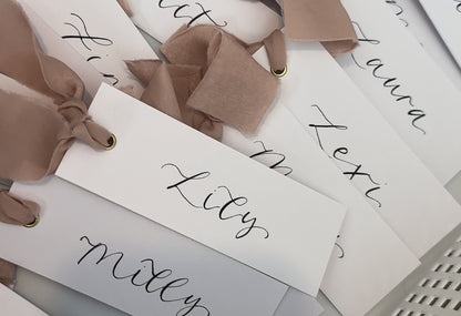 BLUSH Chiffon Ribbon Calligraphy Place Name Card | White Calligraphy Wedding Place Name Card | Gold or Silver Eyelet