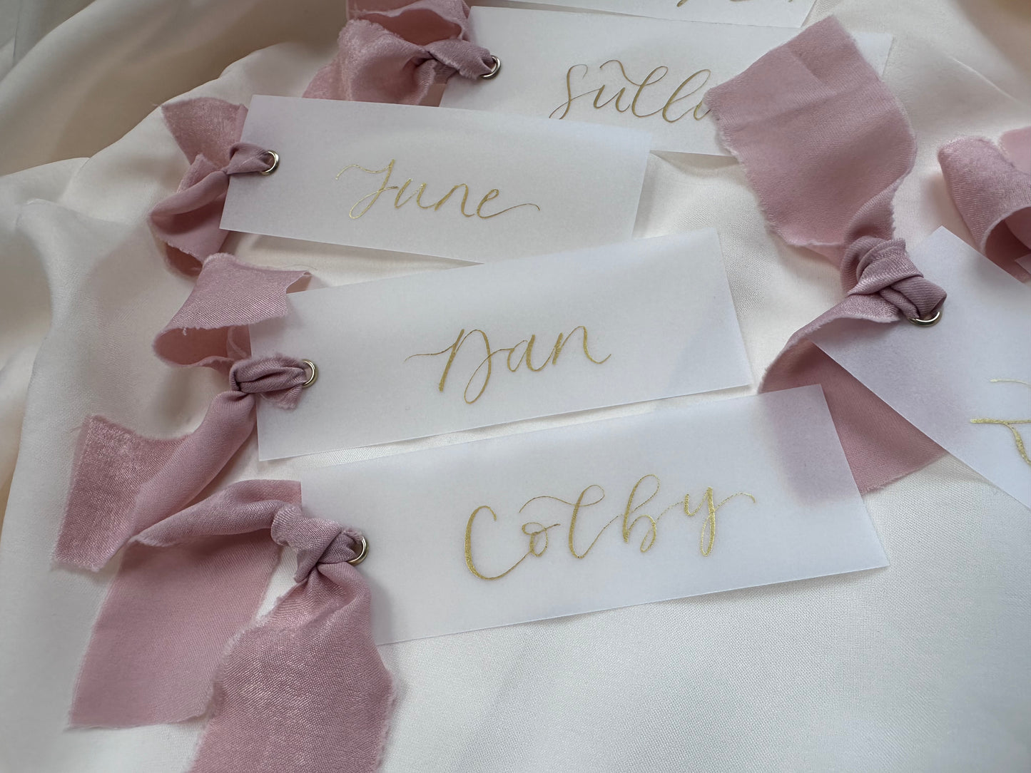 VELLUM Place Card Blush chiffon Ribbon | Calligraphy Wedding Place Name Card | Gold or Silver Eyelet