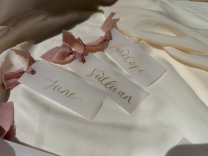 VELLUM Place Card Blush chiffon Ribbon | Calligraphy Wedding Place Name Card | Gold or Silver Eyelet