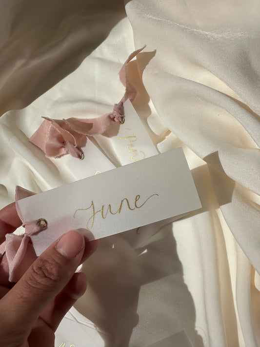 VELLUM Place Card Blush chiffon Ribbon | Calligraphy Wedding Place Name Card | Gold or Silver Eyelet