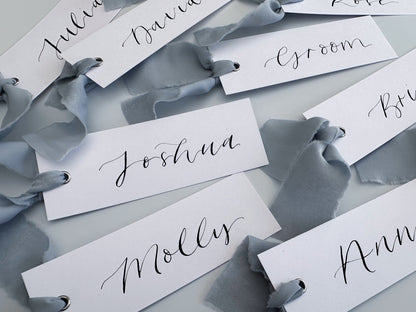 Powder Blue Wedding place cards, Table name cards, Wedding name cards, calligraphy place cards, ribbon place cards