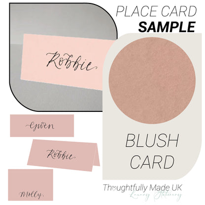 BLUSH Pink Place Card Sample | Calligraphy Wedding Place Name Card | Tented, Flat, Square