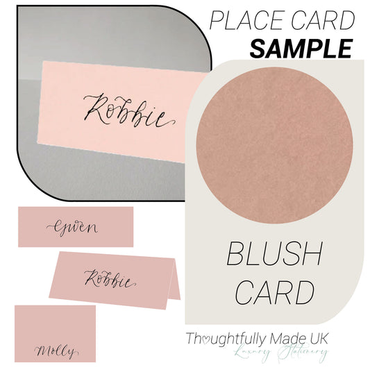 BLUSH Pink Place Card Sample | Calligraphy Wedding Place Name Card | Tented, Flat, Square
