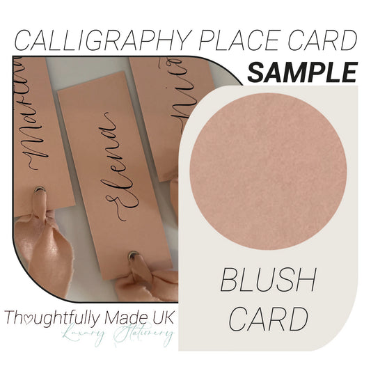 BLUSH Place Card Sample | Calligraphy Wedding Place Name Card |