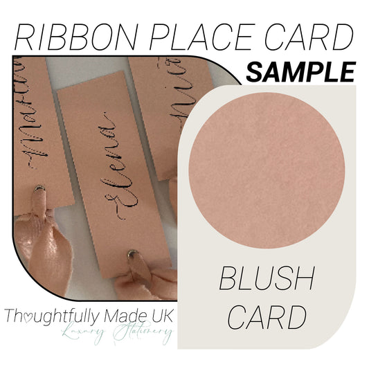 BLUSH Place Card Sample | Calligraphy Wedding Place Name Card |