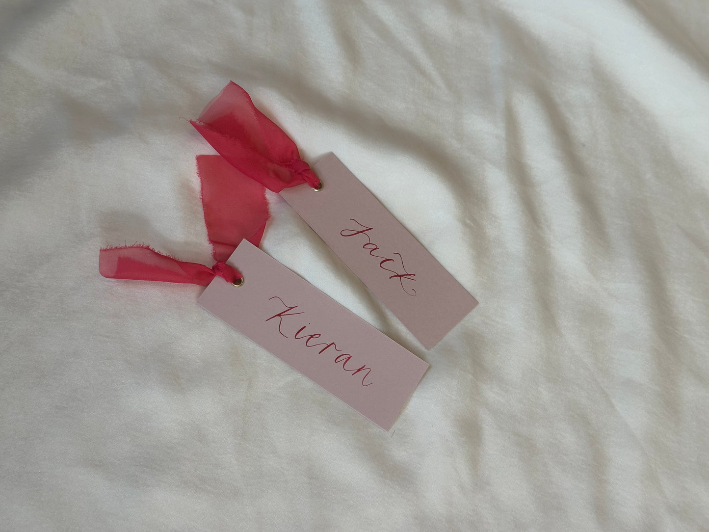 BLUSH + PINK Place Card Organza Ribbon | Calligraphy Wedding Place Name Card | Gold or Silver Eyelet