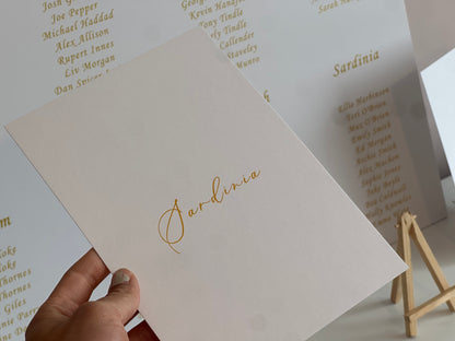 Custom Printed Table Name & Number Colour Text | Personalised Wedding A4 A5 A6 Sign