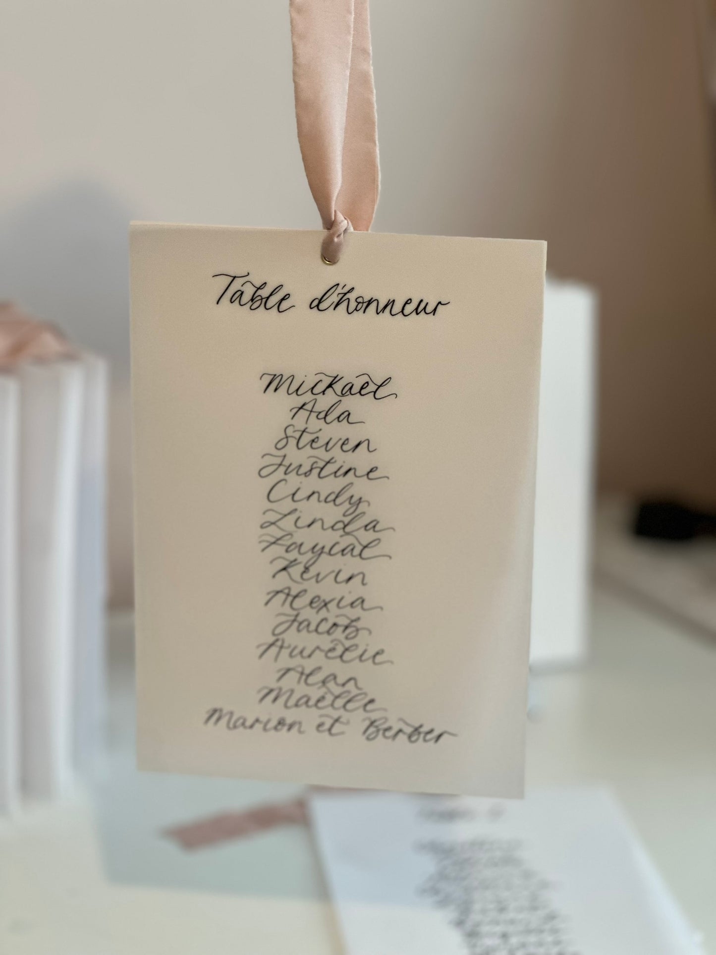 BLUSH Chiffon Ribbon Vellum Calligraphy Table Plan Card | A5 Calligraphy Wedding Table Plan Card | Gold or Silver Eyelet