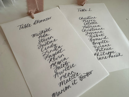 BLUSH Chiffon Ribbon Vellum Calligraphy Table Plan Card | A5 Calligraphy Wedding Table Plan Card | Gold or Silver Eyelet